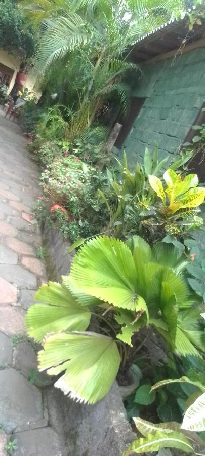Flower Inn Sigiriya Exterior photo